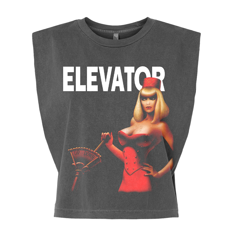Aerosmith 公式 LOVE IN AN ELEVATOR Tシャツ L Love In An Elevator Women's Crop - Aerosmith Official Store
