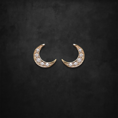 I Am the Moon Earrings