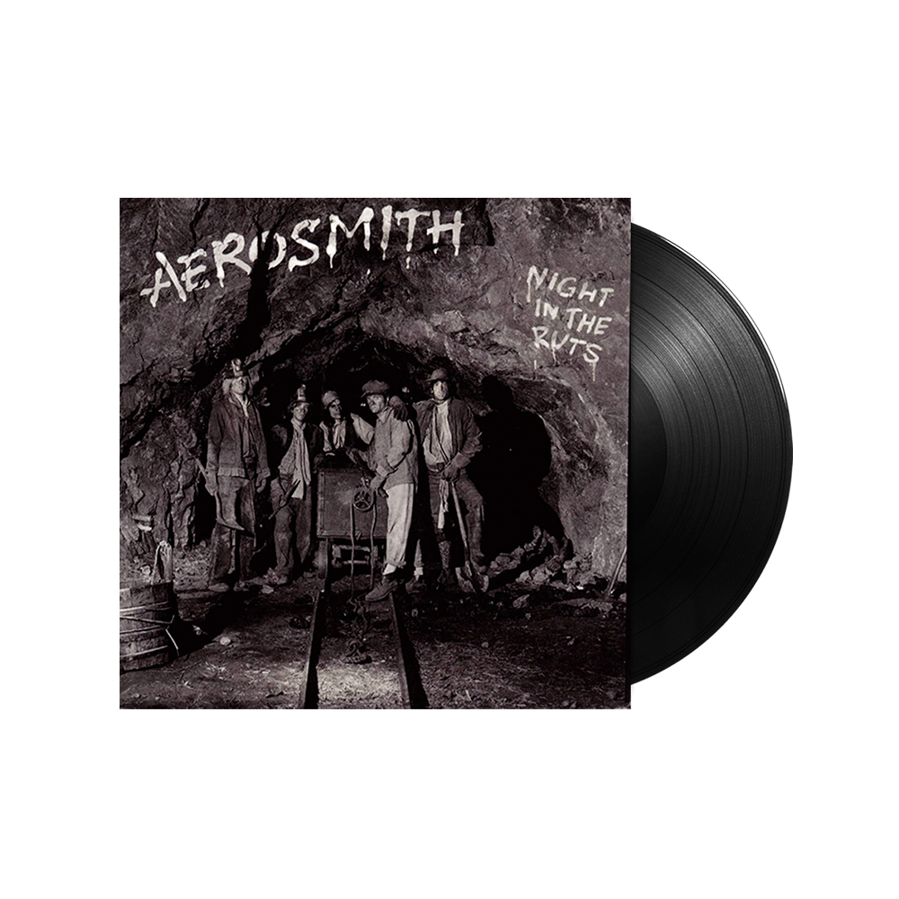 Night In The Ruts LP